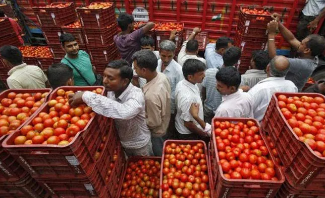 Tomato Rate Reached a Record in AP