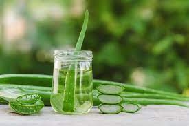 Benefits of Aloe Vera