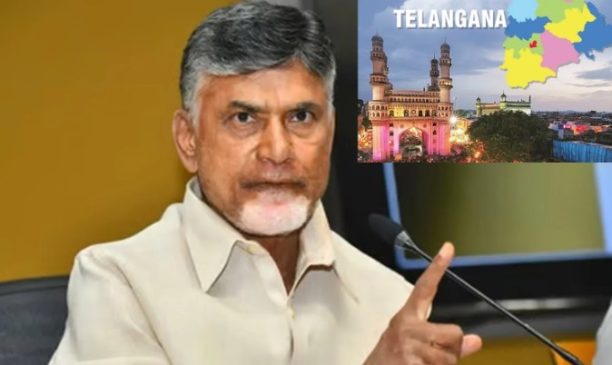 సీఎం చెప్పినా వినరా కనిపించని ఆన్ లైన్ సేవలు TDP Leader Chandrababu naidu