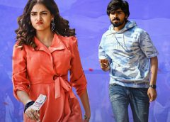 మిస్టర్ ఇడియట్