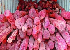 sandalwood smuggling-thirupathi