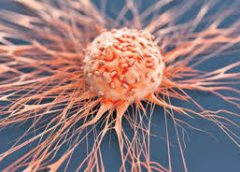 Campaign against cancer