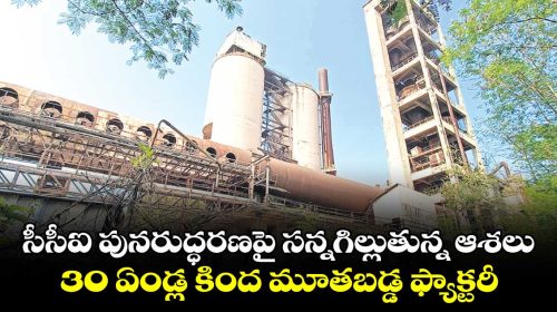 establishment of new industries