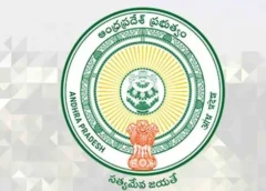 Single Time Settlement Layouts
