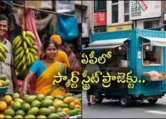 :Smart Street Project in AP