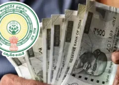 Massive irregularities are coming to light in the social pensions being implemented by the AP government.