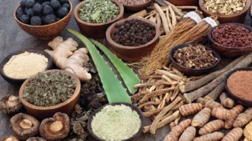 Artificial Intelligence in Ayurveda