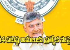 Adoption of families through the P4 scheme