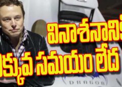 #elanmusk #shorts #trendingvideos