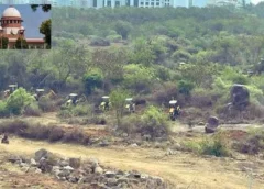 Kanche Gachibowli lands. No no HCU lands.