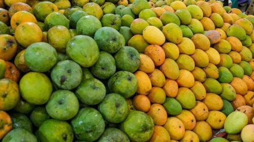 Regency rejects 25 metric tons of fruits
