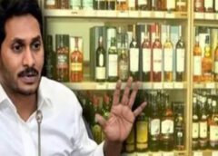 coalition government has focused on the liquor scam that took place during the YSR Congress government.