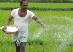 Farmer assurance at the end of May