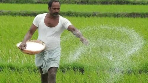 Farmer assurance at the end of May