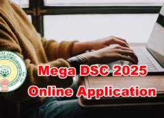 dsc-2025-online-application