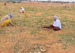 Diamond hunting in Kurnool district, farmer finds diamond worth Rs. 30 lakhs