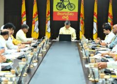 Chief Minister Chandrababu Naidu advised party leaders to organize Kadapa Mahanadu in a way that will go down in history.