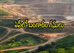 Gold mines in AP