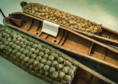 Cluster Bomb Attack on Israel: Details and Controversies