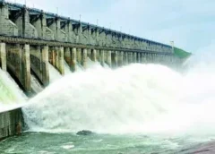 Babli Project Gates Opened: Godavari River Flow Restored