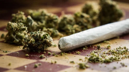 New Technology to Curb Ganja Menace in Telangana