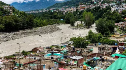 Hero Dog Saves 67 Lives in Himachal Floods