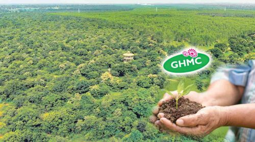 Telangana's Vana Mahotsavam Kicks Off: 18 Crore Saplings Target