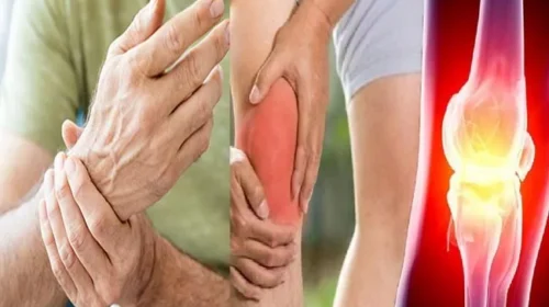 New Hope for RA Patients: Japanese Researchers Identify Root Cause of Joint Inflammation.