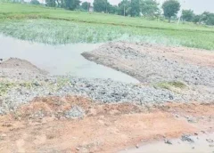 Floods Devastate Farmers in Thalamadla: Mud Road and Crops Lost