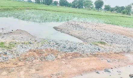 Floods Devastate Farmers in Thalamadla: Mud Road and Crops Lost