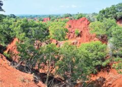 Tirumala Hills, Erramatti Dibbalu Get International Recognition