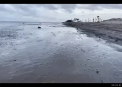 Konaseema District: Bay of Bengal Recedes by 500 Meters at Antarvedi – Unusual Silt Deposit Sparks Tsunami Fears Among Locals