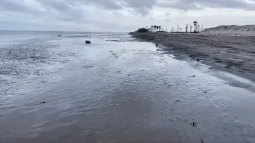 Konaseema District: Bay of Bengal Recedes by 500 Meters at Antarvedi – Unusual Silt Deposit Sparks Tsunami Fears Among Locals