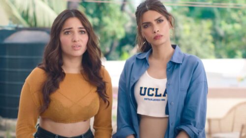 'Do You Wanna Partner' Web Series Review: A Disappointing Business Tale?