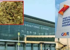 DRI Seizes Ganja Worth ₹12 Crore