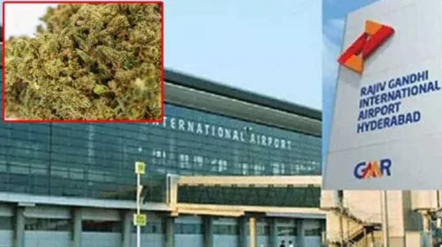 DRI Seizes Ganja Worth ₹12 Crore