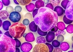 Melioidosis: Growing Concern in Guntur