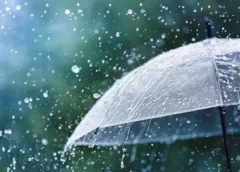 AP to Witness Widespread Rains for Three Days: Disaster Management Body Urges Caution