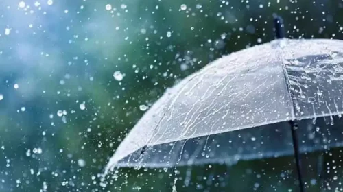 AP to Witness Widespread Rains for Three Days: Disaster Management Body Urges Caution