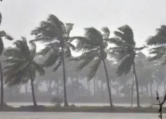 Andhra Pradesh Weather Update: Northeast Monsoon (Post-Monsoon) Set to Arrive, Higher Than Normal Rainfall Predicted.