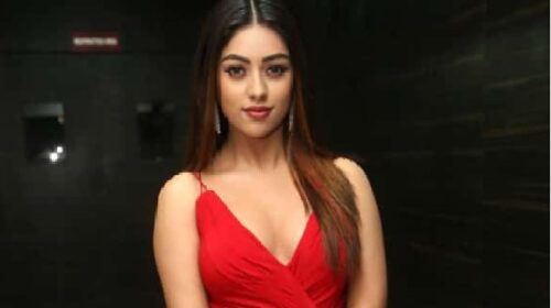 Anu Emmanuel’s Career Reset: Why Her Pivotal Role in Rashmika’s 'The Girlfriend' Matters