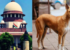 Your Negligence is Hurting India's Image!" – SC Fumes at States Over Stray Dog Crisis.