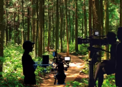 Film Shoots Go Green: Telangana Opens 70 Forest Locations, Promises 24-Hour Approval