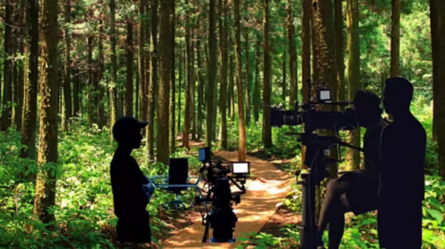 Film Shoots Go Green: Telangana Opens 70 Forest Locations, Promises 24-Hour Approval