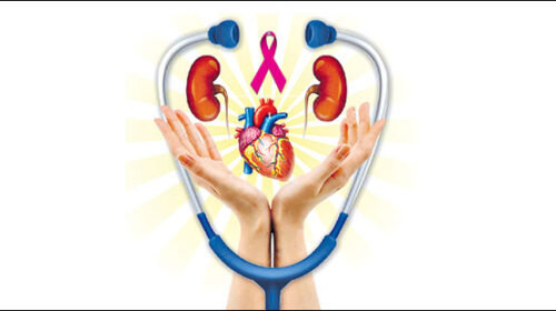 The Silent Killers: Heart Disease and Stroke Replace Infections as India's Top Mortality Threat