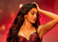 'Thamma' 6-Day Collection: ₹91.70 Cr Worldwide; How Does it Compare to Maddock's Horror-Comedy Universe?