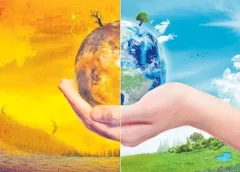 Human-Caused Climate Change Killed Nearly 100,000 People in 2023 Heatwaves: Study