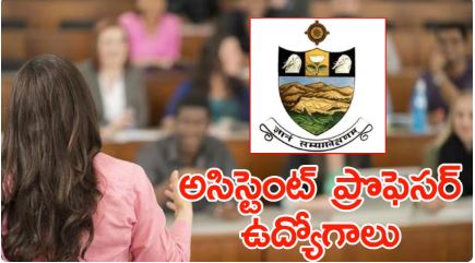 SVVU Assistant Professor Jobs: