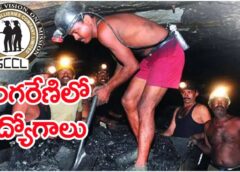 SCCL Apprentice Recruitment 2025