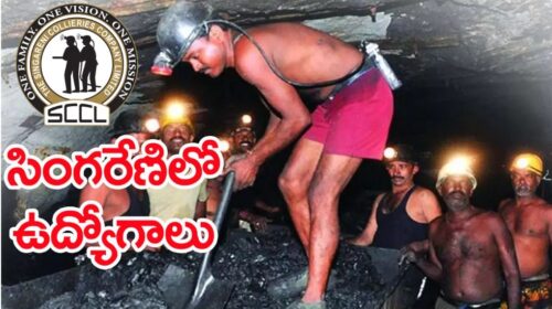 SCCL Apprentice Recruitment 2025